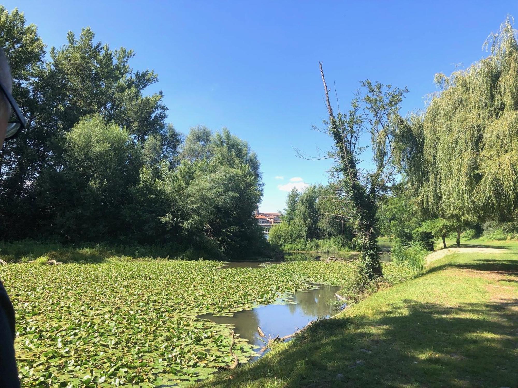 Beautiful Village House Next To Garonne River! Couladere Exterior photo