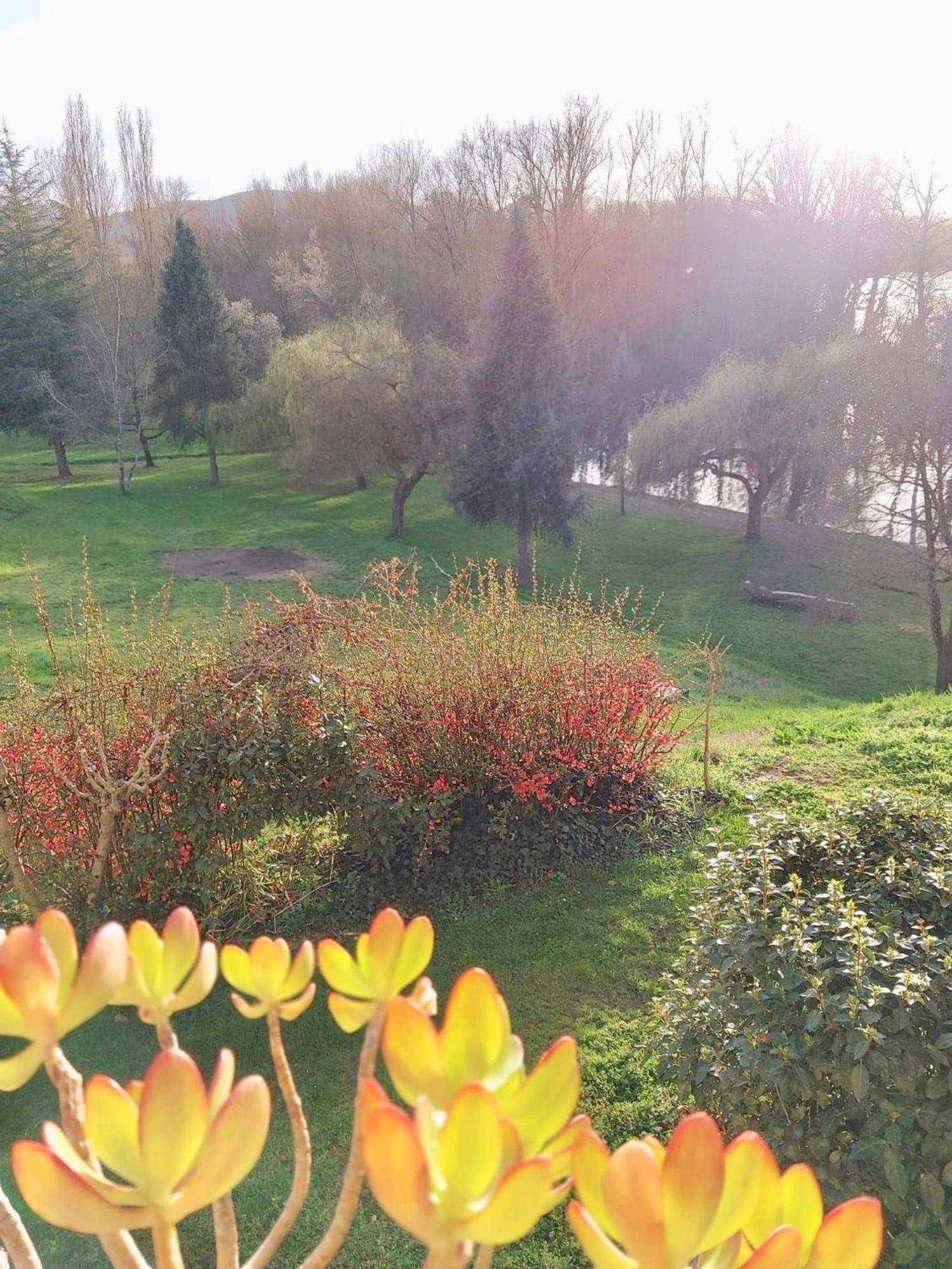 Beautiful Village House Next To Garonne River! Couladere Exterior photo